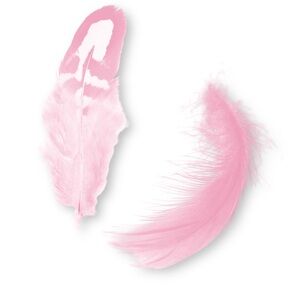 Everything in my closet has had only one owner ♥️♥️